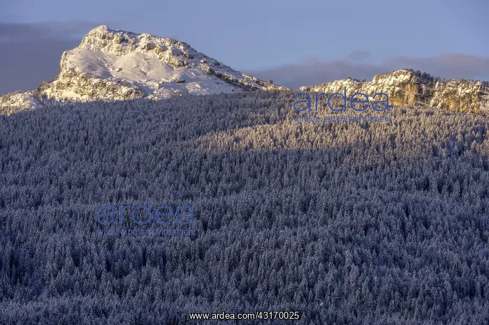 : A winter landscape in the Dolomites : A winter landscape in the Dolomites