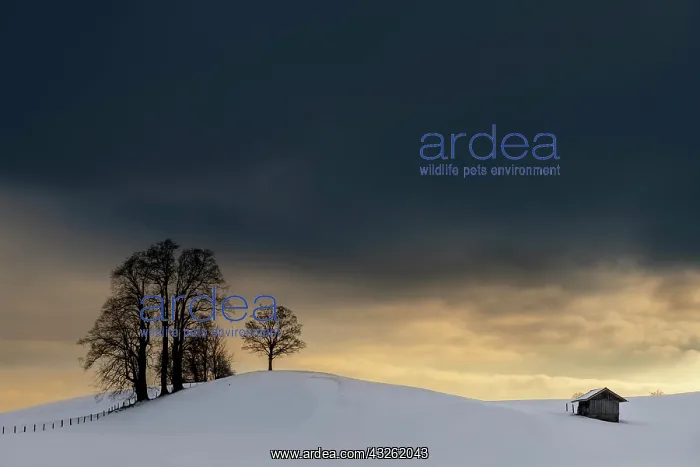 : Winter landscape against a dramatic sky, Obergunzburg : Winter landscape against a dramatic sky, Obergunzburg