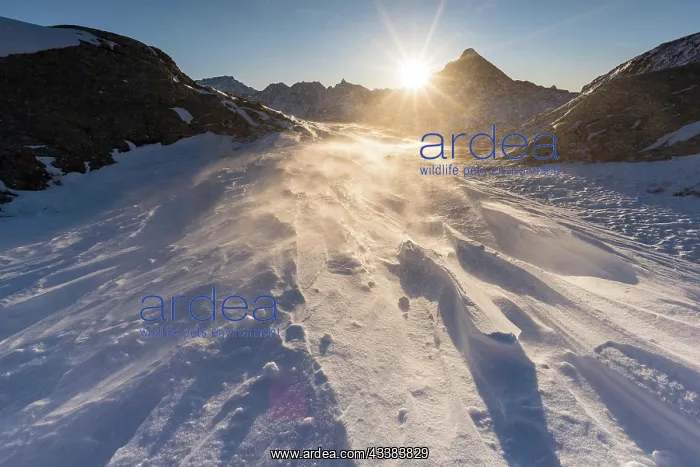 : Winter landscape in the Grisons mountains with a : Winter landscape in the Grisons mountains with a
