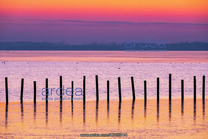 : Winter landscape on the shore of Lake Dammer, sunset : Winter landscape on the shore of Lake Dammer, sunset