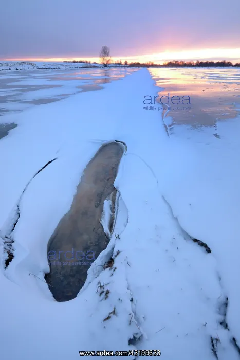 : Winter Landscape showing a frozen floodplain : Winter Landscape showing a frozen floodplain