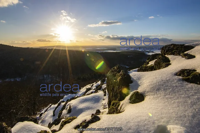 : Winter landscape with snow and ice : Winter landscape with snow and ice
