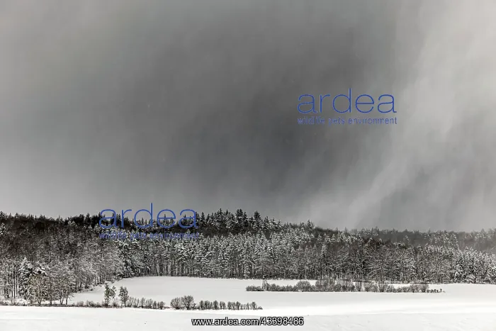 : Winter landscape in the Swabian Alb, biosphere area : Winter landscape in the Swabian Alb, biosphere area