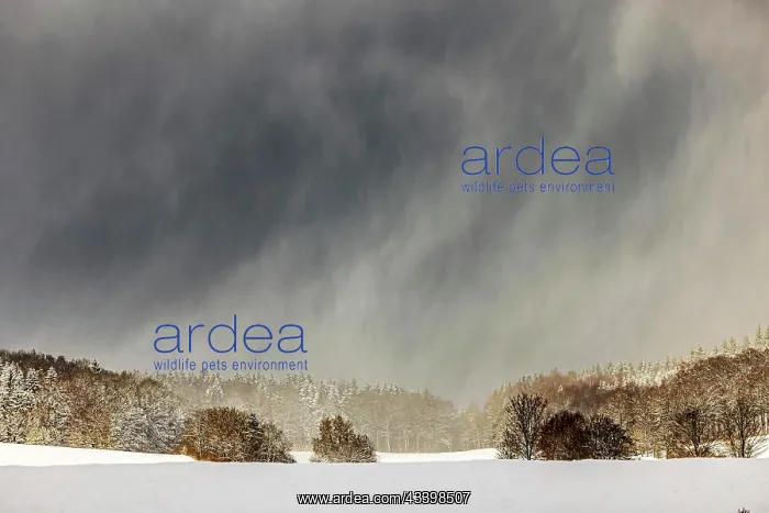 : Winter landscape in the Swabian Alb, biosphere area : Winter landscape in the Swabian Alb, biosphere area