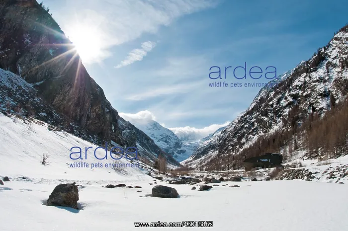  : Winter mountain landscape