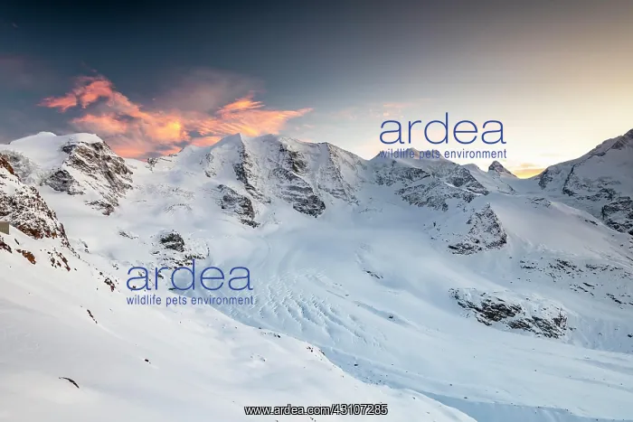 : Winter mountain panorama on the Diavolezza in the : Winter mountain panorama on the Diavolezza in the