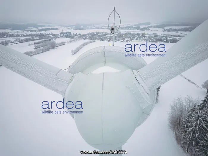 : Winter in the Ore Mountains : Winter in the Ore Mountains