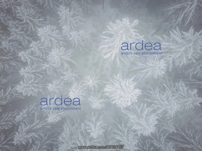 : Winter in the Ore Mountains : Winter in the Ore Mountains