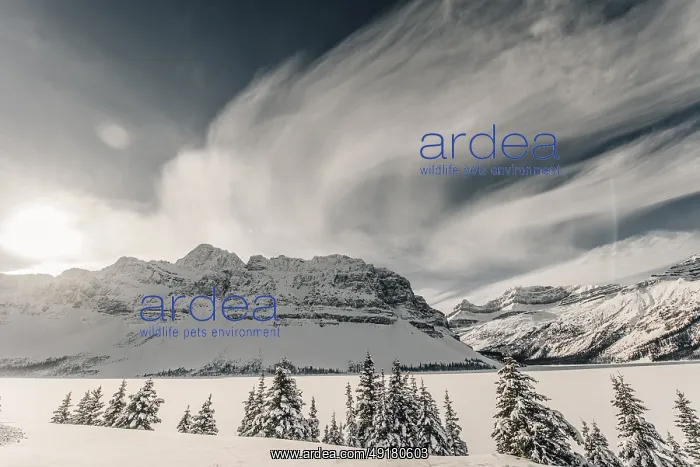 : Winter road trip on the Icefields Parkway with lots of snow and ice : Winter road trip on the Icefields Parkway with lots of snow and ice