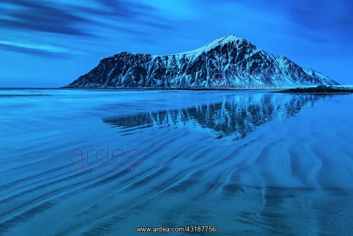 : Winter Scandinavian landscape, sea, mountains, snow : Winter Scandinavian landscape, sea, mountains, snow