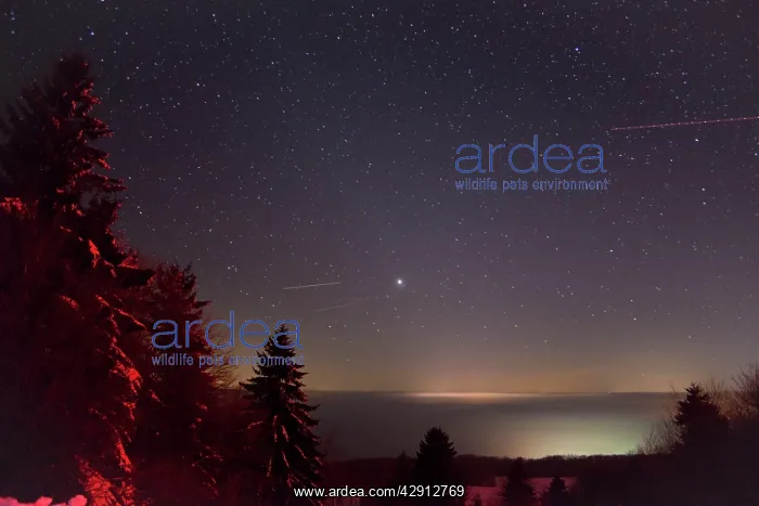 : Winter sky - showing stars and airliner jet light trails : Winter sky - showing stars and airliner jet light trails