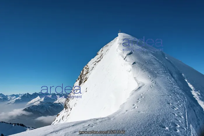 : Winter summit ridge of the Schneidspitze, in the : Winter summit ridge of the Schneidspitze, in the