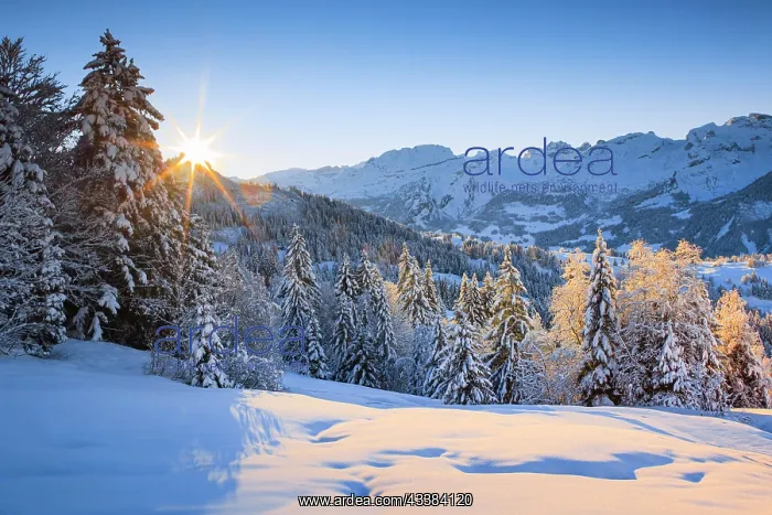 : Winter sunrise with view from Ibergeregg to the Central Swis : Winter sunrise with view from Ibergeregg to the Central Swis