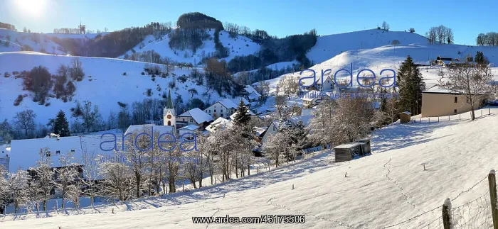 : Winter village view with church, Wisen, Solothurn : Winter village view with church, Wisen, Solothurn