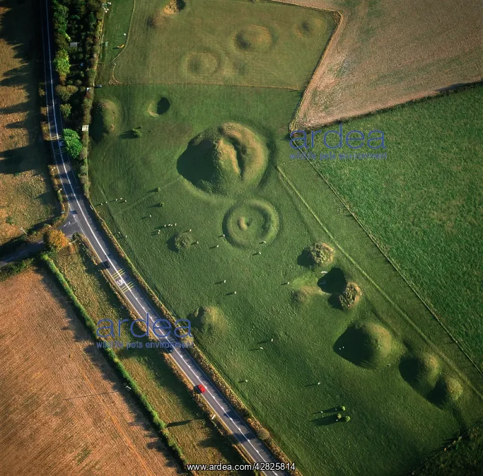: Winterbourne Poor Lot (Round) Barrows, Winterbourne : Winterbourne Poor Lot (Round) Barrows, Winterbourne