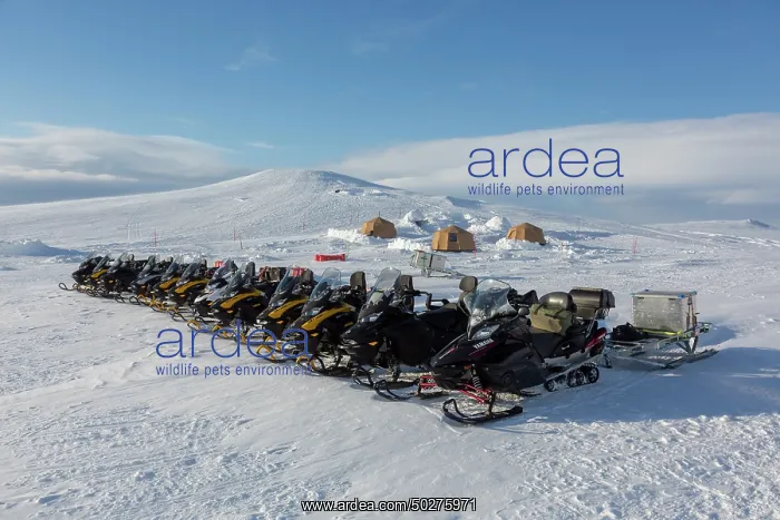 : Wintercamp : Wintercamp