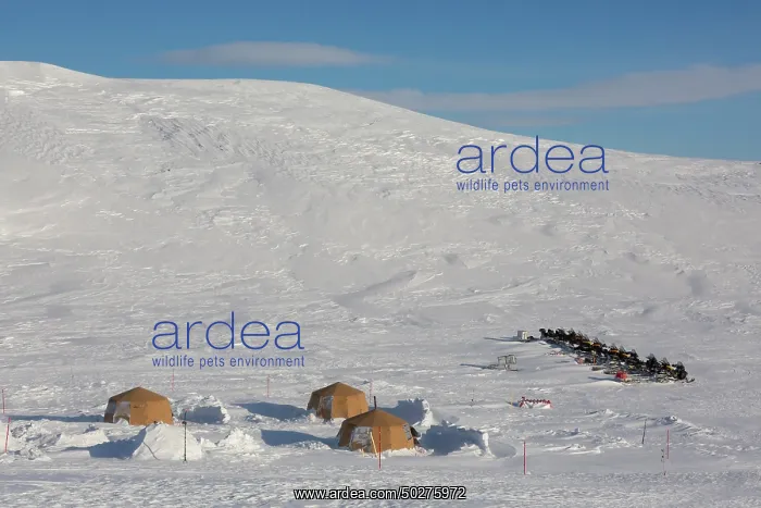 : Wintercamp : Wintercamp