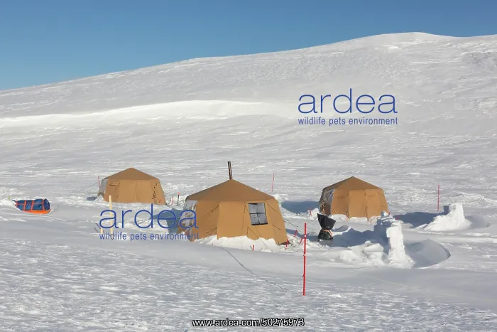 : Wintercamp : Wintercamp