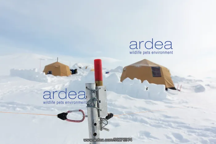 : Wintercamp : Wintercamp