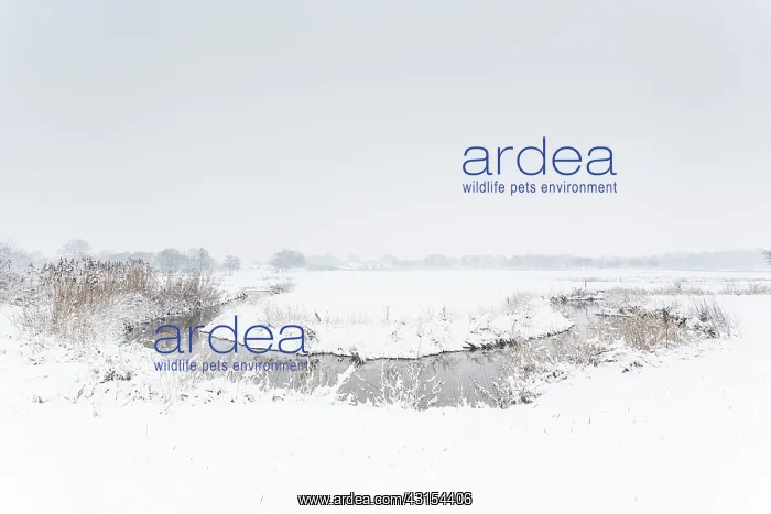 : Winterlandscape with meander through meadowland : Winterlandscape with meander through meadowland