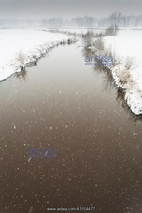 : Winterlandscape with snowfall over stream : Winterlandscape with snowfall over stream
