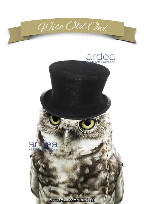  : Wise Old Owl, wearing Top Hat and Monocle