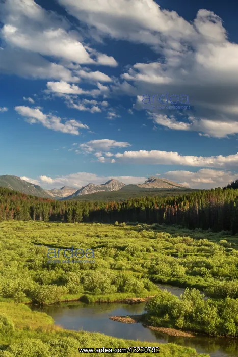 : The Wise River in the Pioneer Mountains : The Wise River in the Pioneer Mountains
