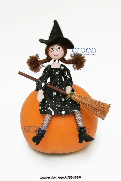 : Witch - with broom sitting on a pumpkin : Witch - with broom sitting on a pumpkin