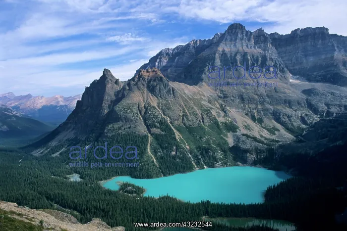 : Wiwaxy Peaks (left of center) and Mount : Wiwaxy Peaks (left of center) and Mount