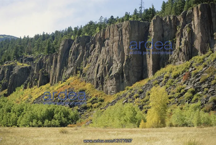 : Wolf Creek Pass, Colorado : Wolf Creek Pass, Colorado
