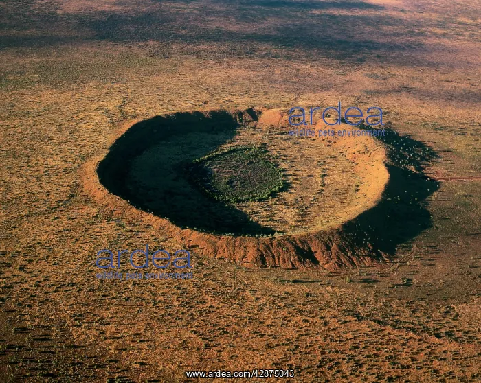 : Wolfe Creek meteor crater : Wolfe Creek meteor crater