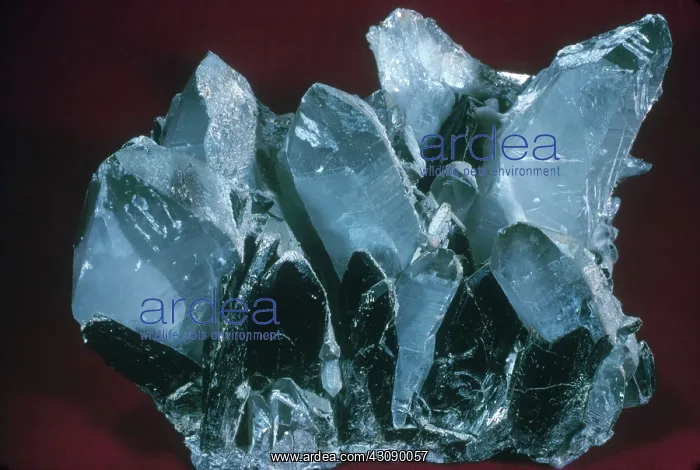 : Wolframite : Wolframite