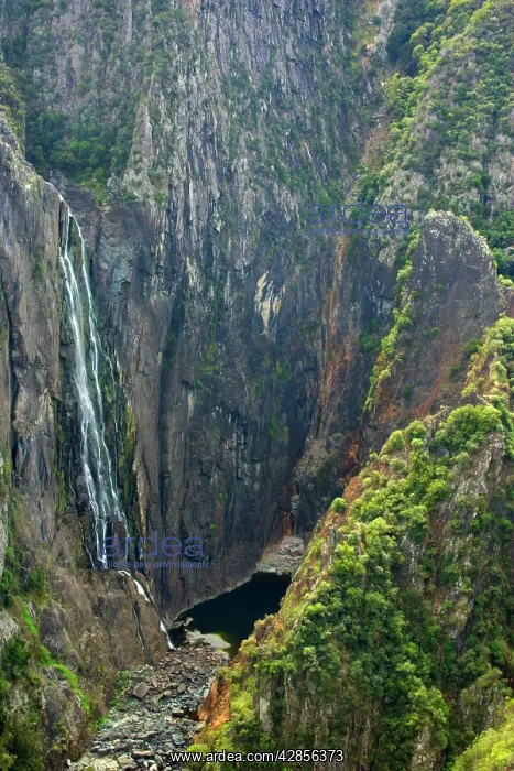 : Wollomombi Falls : Wollomombi Falls