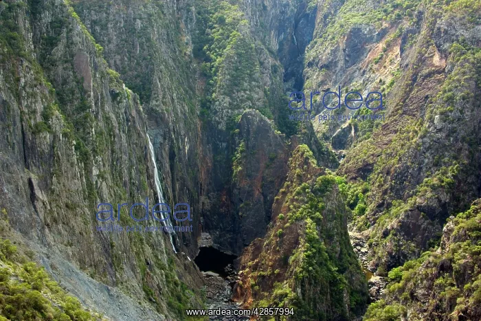 : Wollomombi Falls : Wollomombi Falls