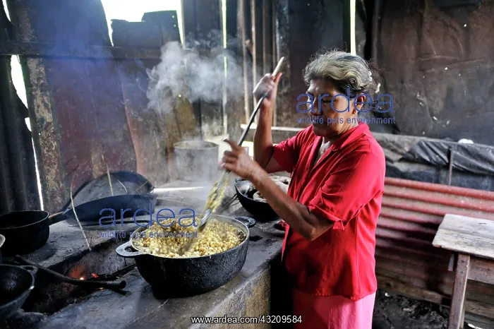 : Woman, 58, preparing tortillas in a simple wood : Woman, 58, preparing tortillas in a simple wood