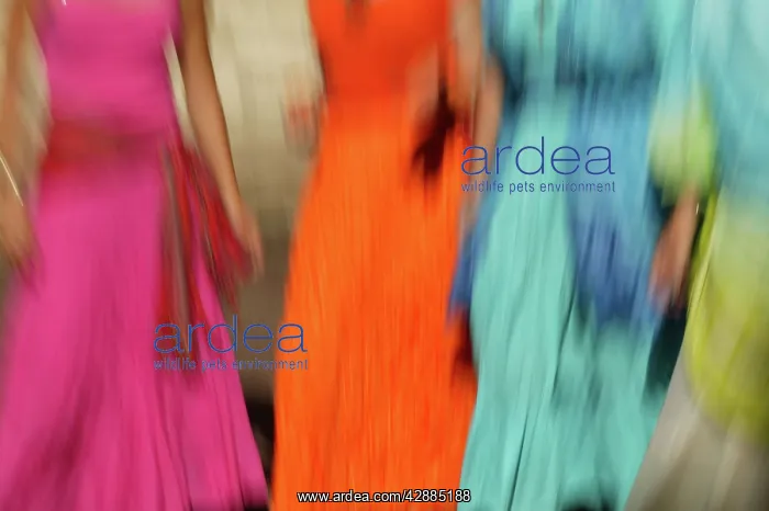 : Woman - blurred - dancing in bright colourful clothes : Woman - blurred - dancing in bright colourful clothes