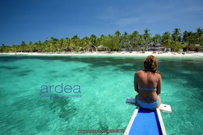 : woman on boat looking the beach with palm trees, Malapascua : woman on boat looking the beach with palm trees, Malapascua