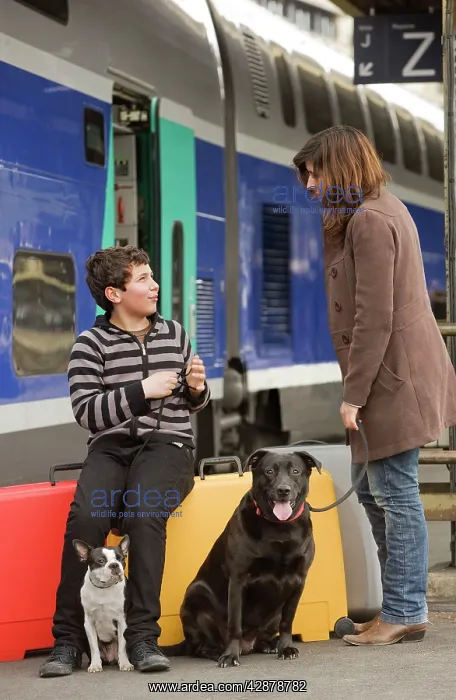 : Woman & boy - on train platform with two dogs and : Woman & boy - on train platform with two dogs and