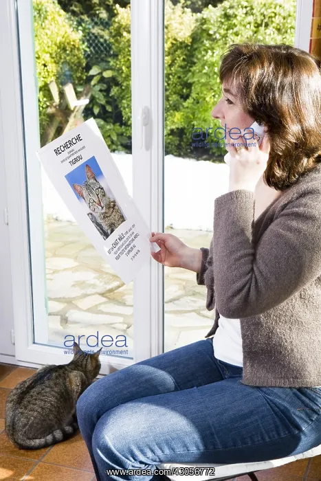 : Woman calling to make a cat lost France : Woman calling to make a cat lost France