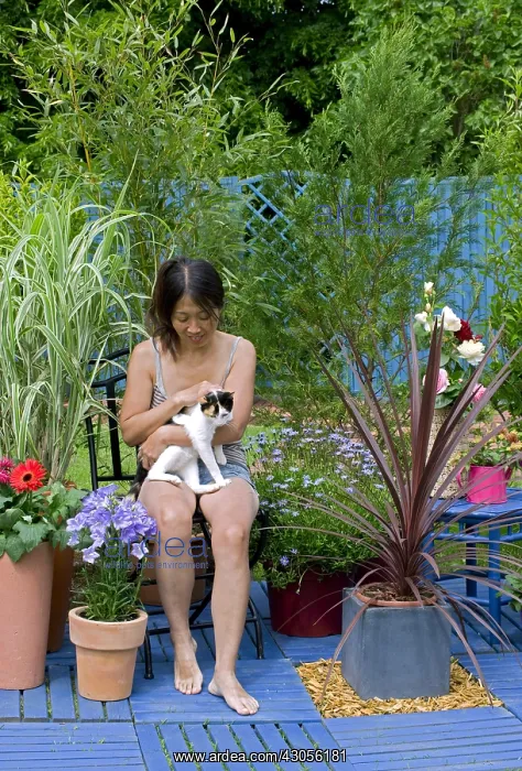 : Woman caressing a cat on a flowered garden terrace : Woman caressing a cat on a flowered garden terrace