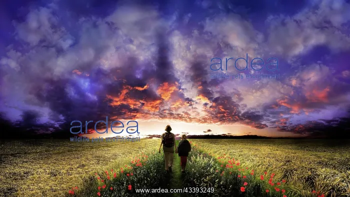 : Woman and child walking on a path flanked by poppy : Woman and child walking on a path flanked by poppy