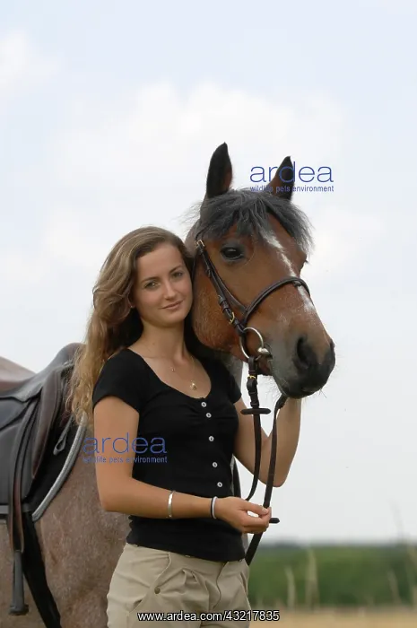 : Woman and her Connemara pony - France : Woman and her Connemara pony - France