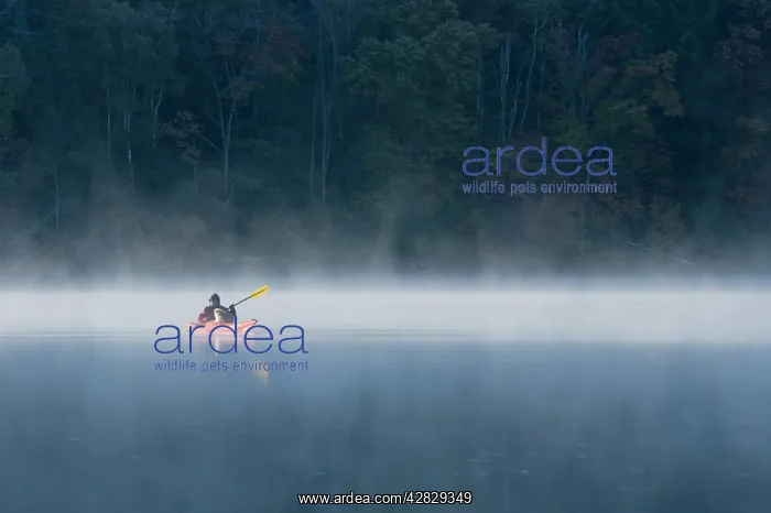 : Woman and Dog canoeing : Woman and Dog canoeing