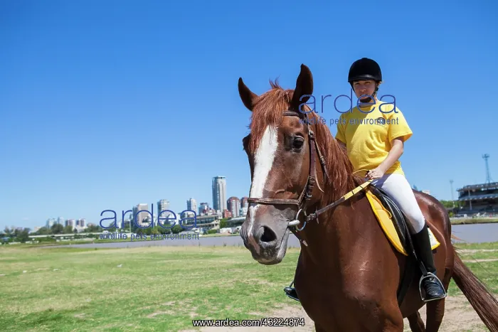 : Woman exercising at the jump center of equitherapy : Woman exercising at the jump center of equitherapy
