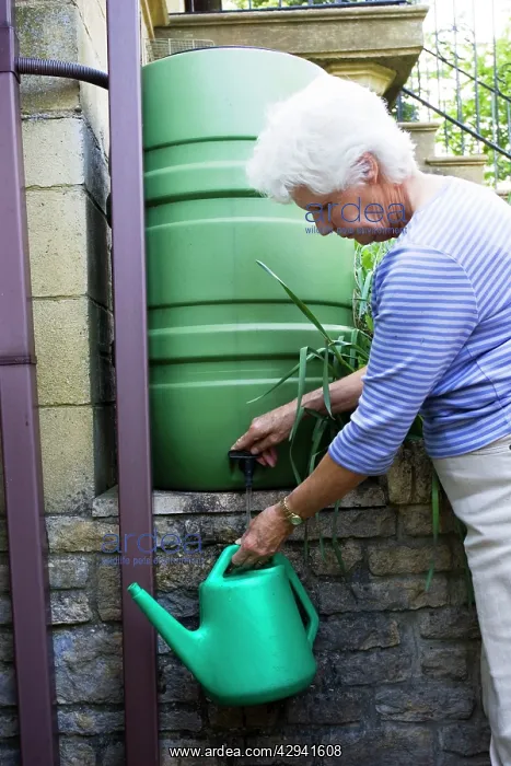 : Woman filling watering can from rainwater butt : Woman filling watering can from rainwater butt