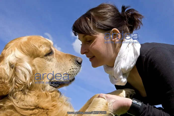 : Woman and Golden Retriever France : Woman and Golden Retriever France