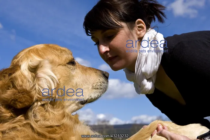 : Woman and Golden Retriever France : Woman and Golden Retriever France