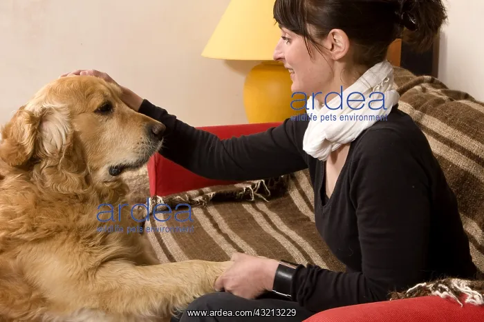 : Woman and Golden Retriever on a sofa France : Woman and Golden Retriever on a sofa France