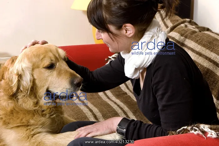 : Woman and Golden Retriever on a sofa France : Woman and Golden Retriever on a sofa France