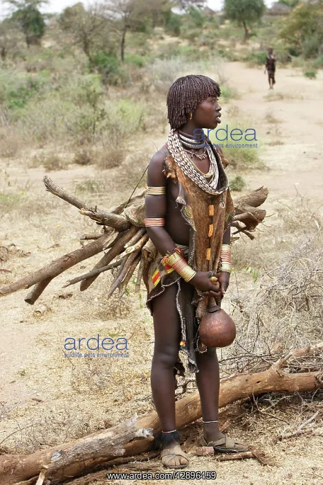 : Woman - Hamer tribe : Woman - Hamer tribe